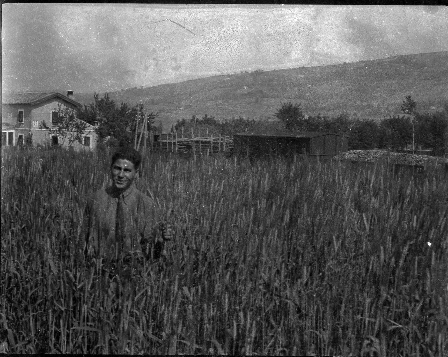 Zio Peppino tra i campi