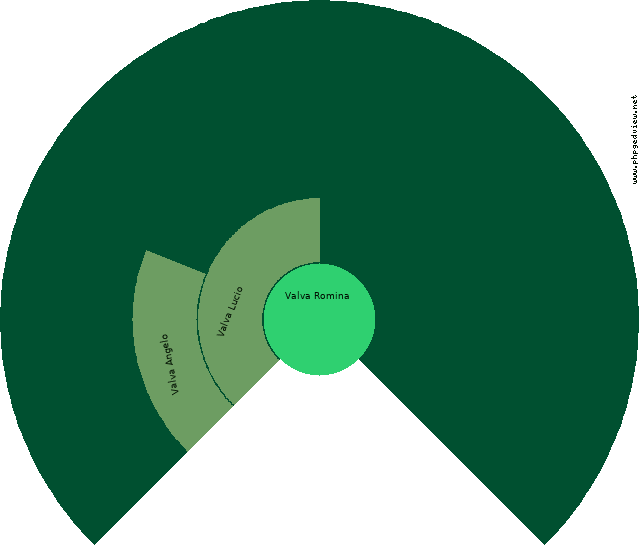 Matteo Valva Diagramma Circolare