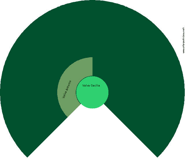 Romina Valva Diagramma Circolare