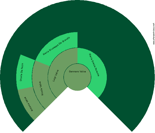 Giuseppe Valva Diagramma Circolare