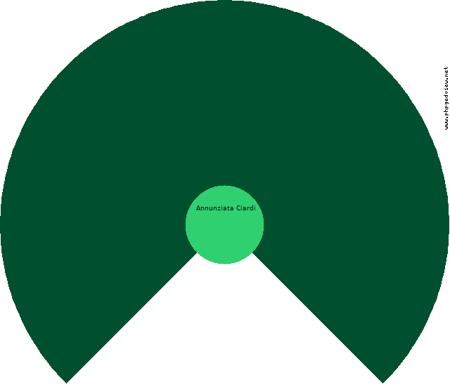 Luigi Valva Diagramma Circolare